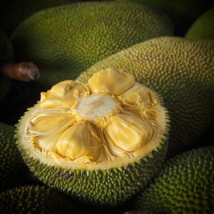 Don's Honey Jackfruit J33 - Frozen Whole Fruit