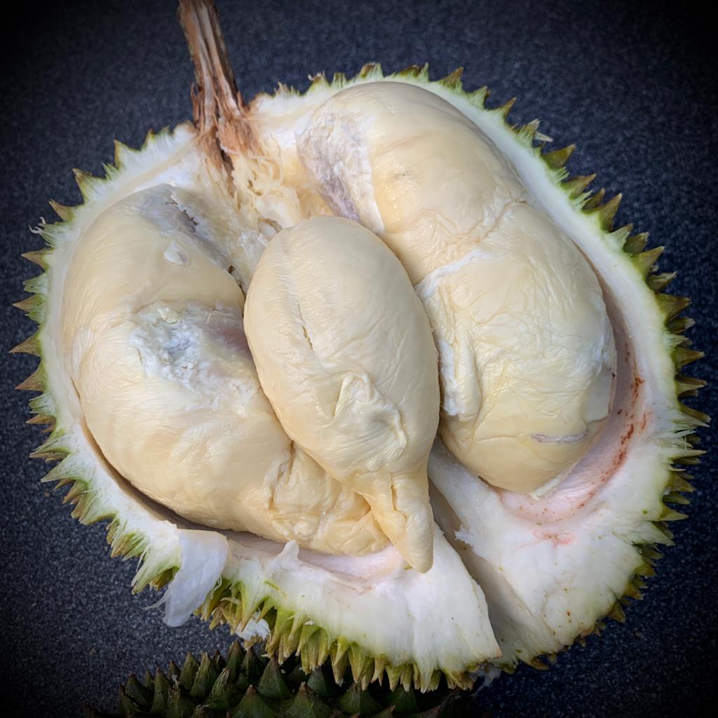 Don's D24XO Durian - Frozen Whole Fruit