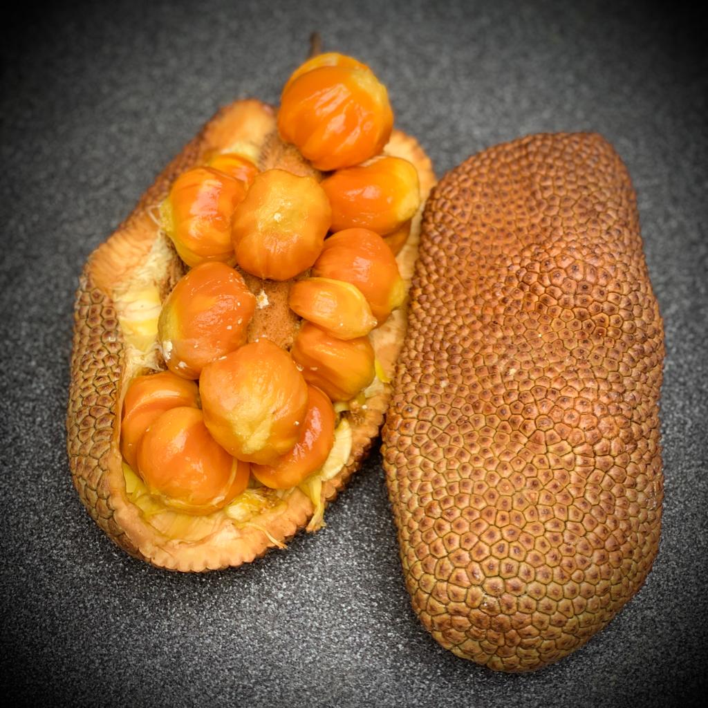 Don's Cempedak - Frozen Whole Fruit